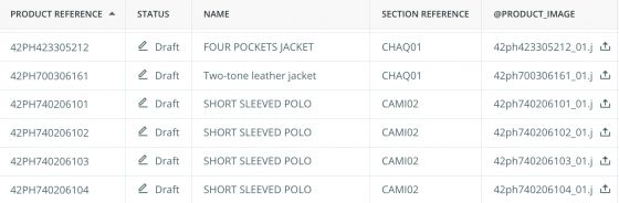 Looking at Products in Edit/Excel mode